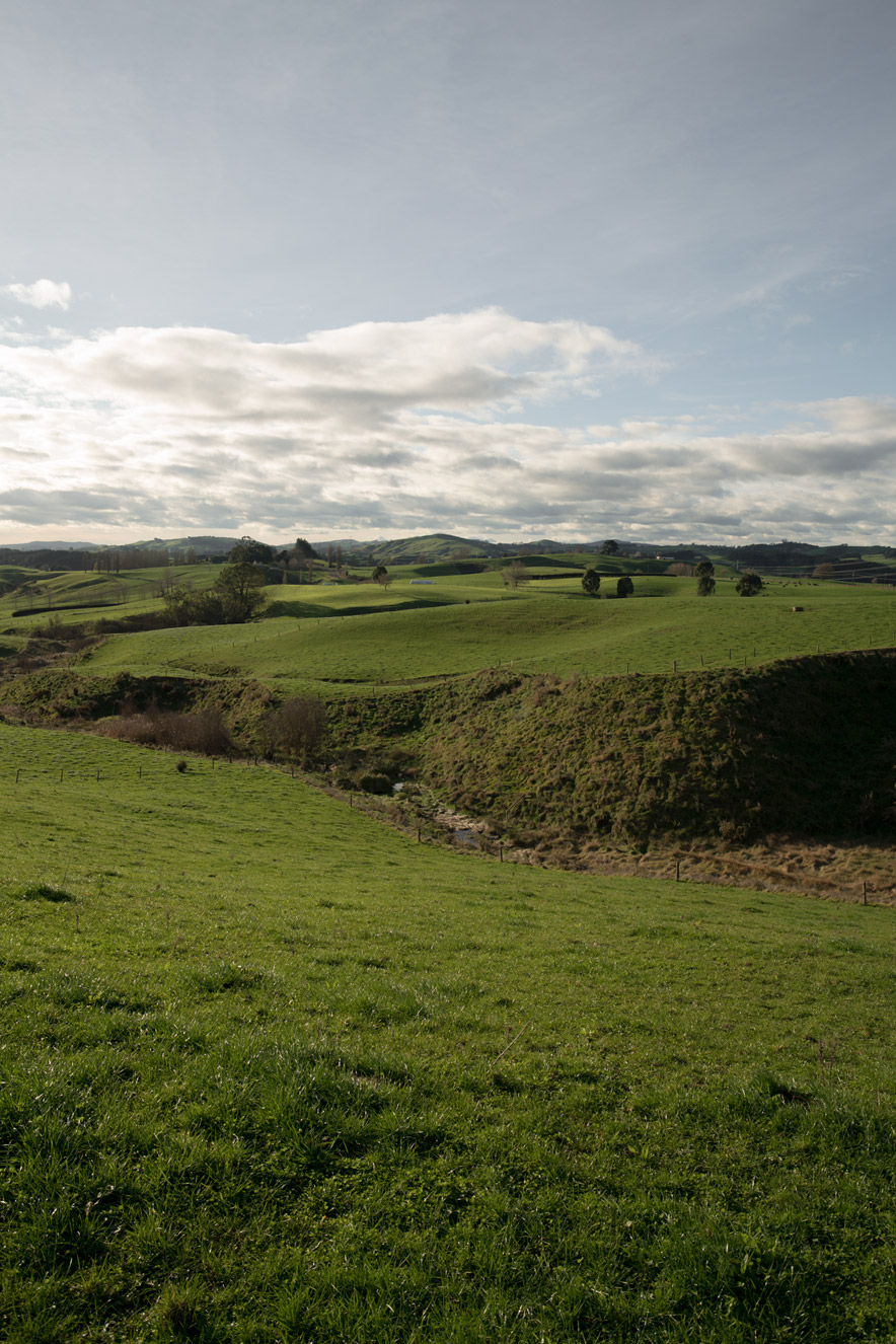 160711-mulatero-7538