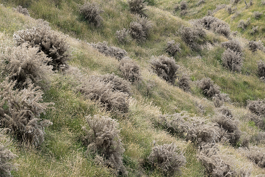 A spring-fed wetland becomes a reality beneath the mountain