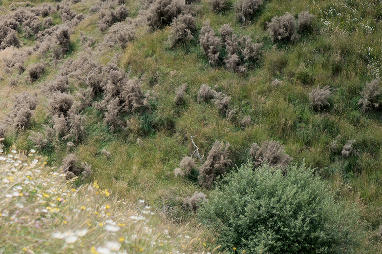 A spring-fed wetland becomes a reality beneath the mountain