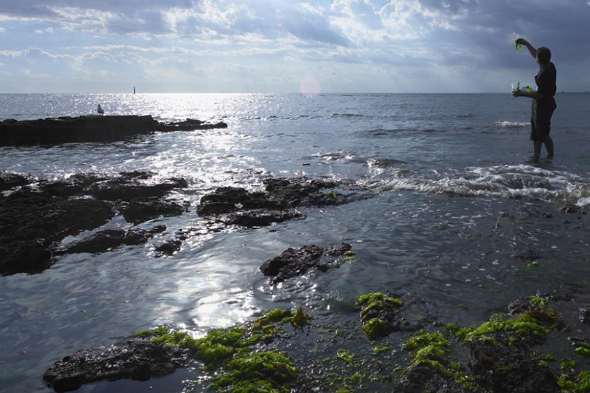 Ben Shewry on family, foraging and a new take on an old idea