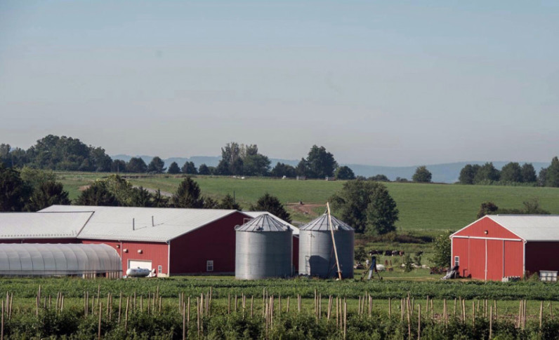 Shelby Dukes on observation, organics and the disappearing family farm