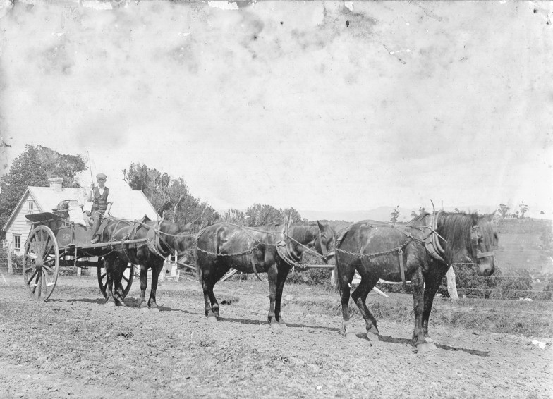 Shadows beneath the mountain: Jack and Ted in the 1920’s