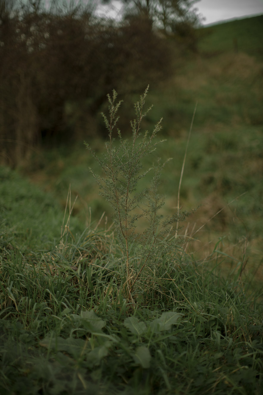 Rebuilding on the edge