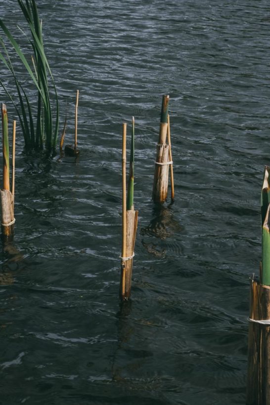 How a buried stream became a well-formed sieve