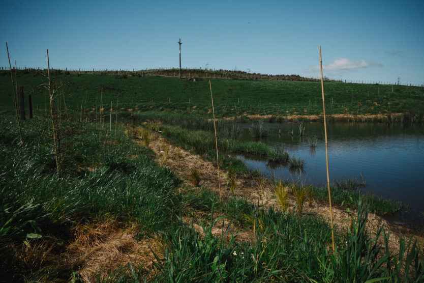 On a dry day in spring