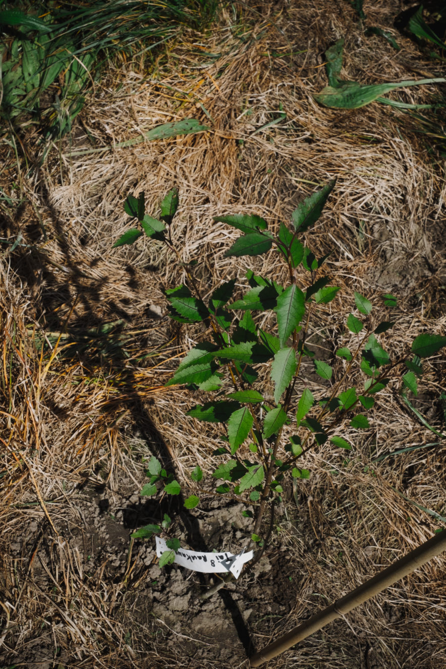 On a dry day in spring