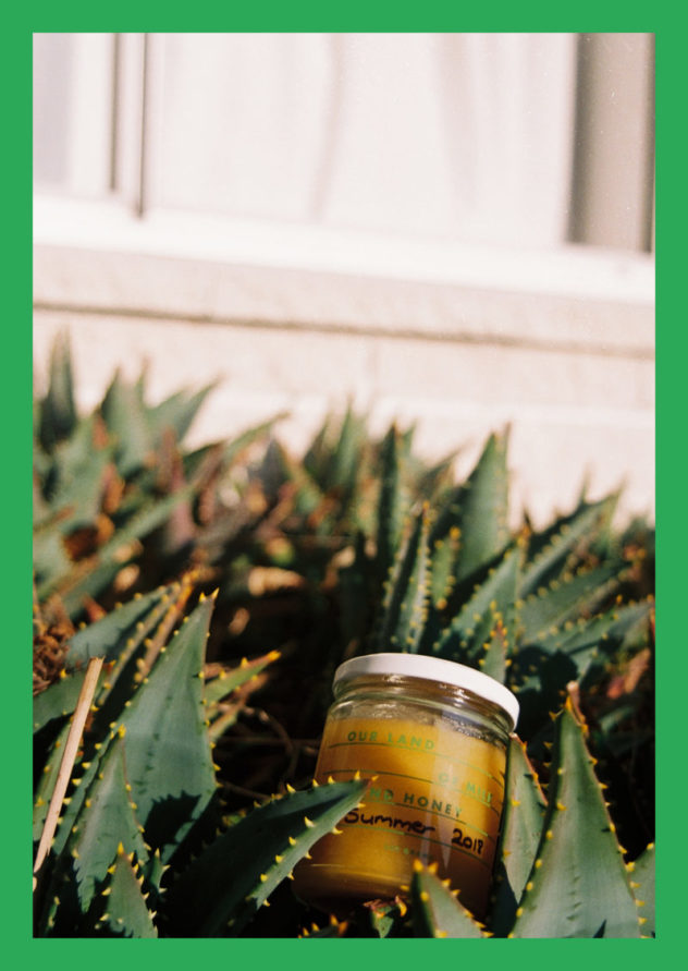 Our summer 2018 honey campaign poster